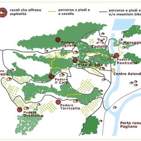 Tenuta Di Corbara Corbara  Ngoại thất bức ảnh