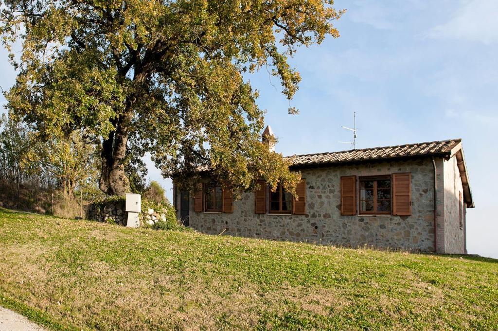 Tenuta Di Corbara Corbara  Ngoại thất bức ảnh